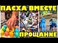 Вот так мы встретили пасху, они улетели, но обещали вернуться! .