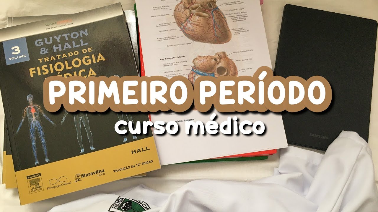 1 Período De Faculdade , O que significa semestre na faculdade: Entenda ...