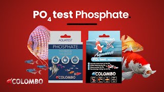 Colombo Pond Phosphate (PO4) Test
