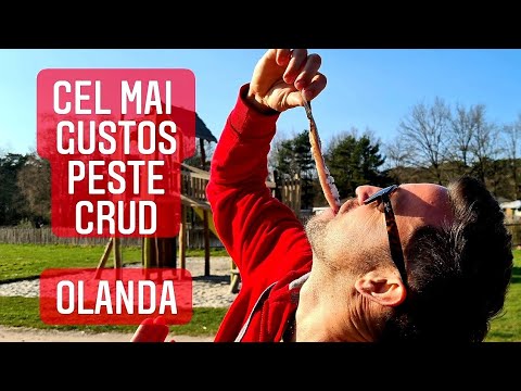 Video: Camping în Olanda