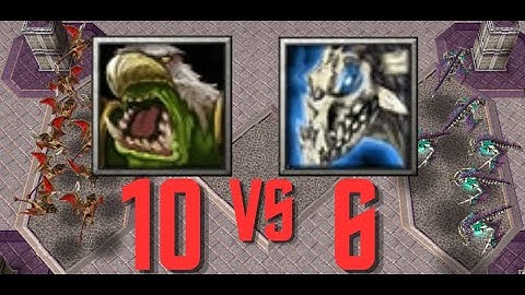 Wind Rider VS Frost Wyrm - Unit battle Warcraft III