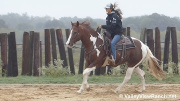 Steel - walk, jog, lope, stops, dismount! - ValleyViewRanch.net