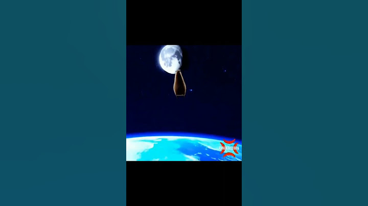 Capybara flying to the moon meme