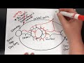 Crafting Effective Scientific Models Through Art and Inquiry