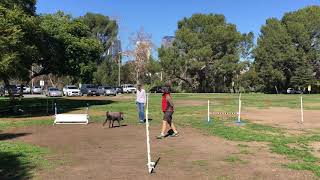 Utility Training with Zane: Utility A run through (partial)