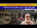 Desi Murga bazar Lahore Sunday Market update | Aseel and Desi chicks in Lahore