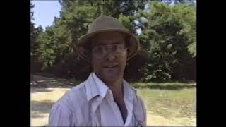 Raleigh Amateur Radio Society (RARS) 1990 Field Day