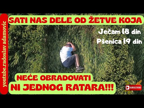 SATI NAS DELE