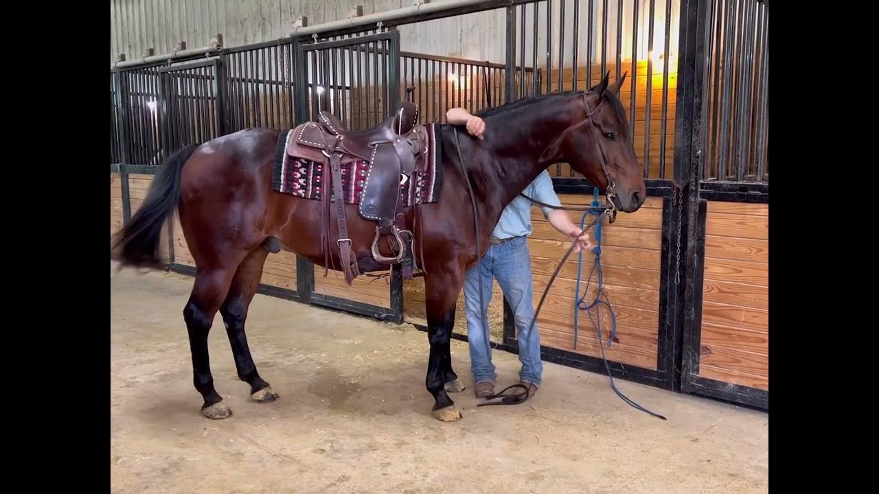 Lot 37 Legend, offered by Lynch Performance at Best of Texas Premier