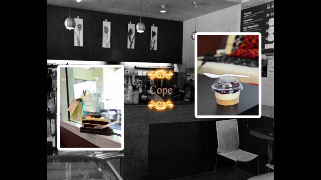 Private IVDO Project Opening