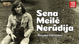 Arvydas Vilčinskas - Sena Meilė Nerūdija (Official Lyric Video). Lietuviškos Dainos