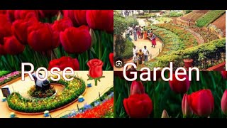 Rose Garden ooty // Udagai rose garden //Rose Garden // ooty vlog //Deepa's tea time vlog