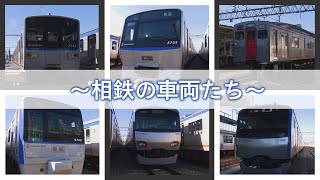 【相鉄の車両たち inかしわ台車両センター】相模鉄道