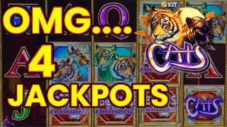 OMG! CATS IS ON FIRE!! Huge Profit 4 Jackpots! I love Cats! screenshot 4