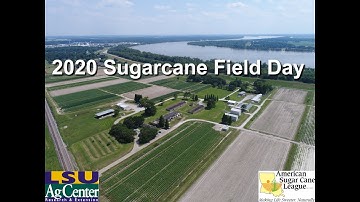 Welcome from Program Director