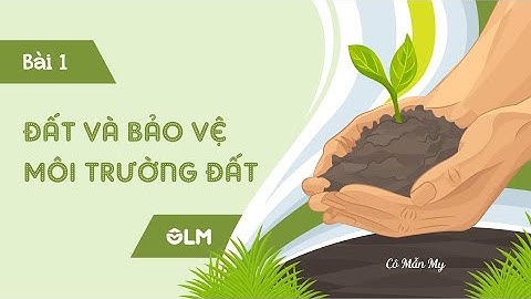 Bài 1. Đất và bảo vệ môi trường đất (phần 1) - Khoa học 5 - Cánh diều - OLM.VN