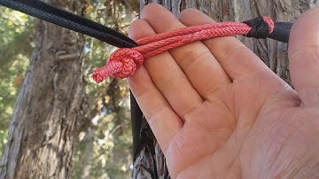 Fast Shackle Dyneema hammock connector