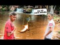 OFERECI 600$ PARA ELES ENTRAR EM UMA CACHOEIRA COM CROCODILOS🐊