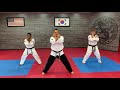 Tae ryong taekwondo advanced hand technique