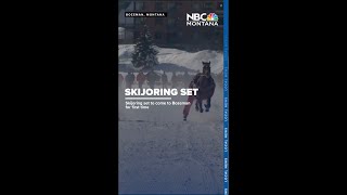 Skijoring set to come to Bozeman for first time
