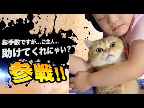 ヤバ過ぎネッコ全員参戦！！part72