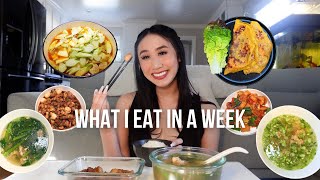 what I eat in a week  (vietnamese home-cooked meals)