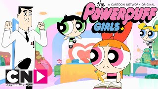 La festa di compleanno | Powerpuff Girls | Cartoon Network