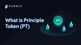 Chapter 2: What is Principle Token (PT)