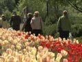 Did You Know? - History Of The Tulip Festival