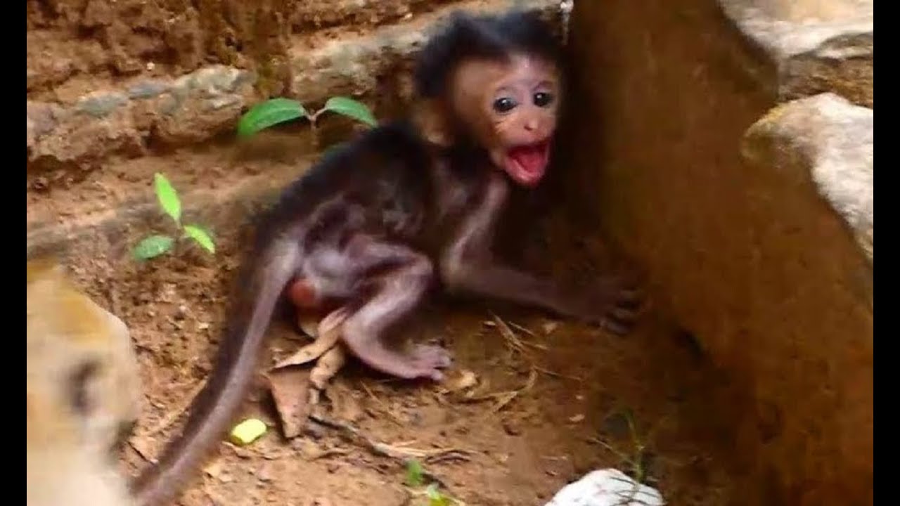 OMG mom leave baby till baby cry loudly