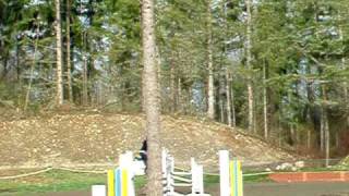 DSCF8905.AVI