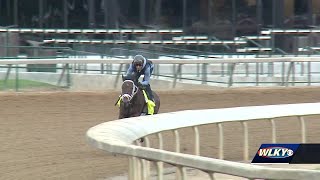 Kentucky Derby favorite Fierceness goes through final major pre-race workout