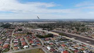 DJI Mavic 2 Zoom Wedgetail Eagle over Oval