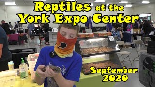 Reptiles at the York Expo Center September 2020