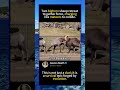 it is a survival epic forged by evolution.#foryou #fyp #animals #funny