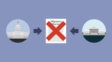 Missouri v. Holland Case Brief Summary | Law Case Explained