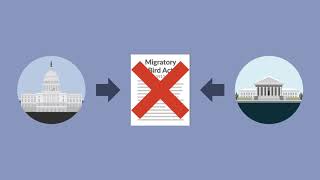Missouri v. Holland Case Brief Summary | Law Case Explained