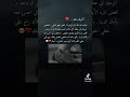 كلام جميل للحبيب 