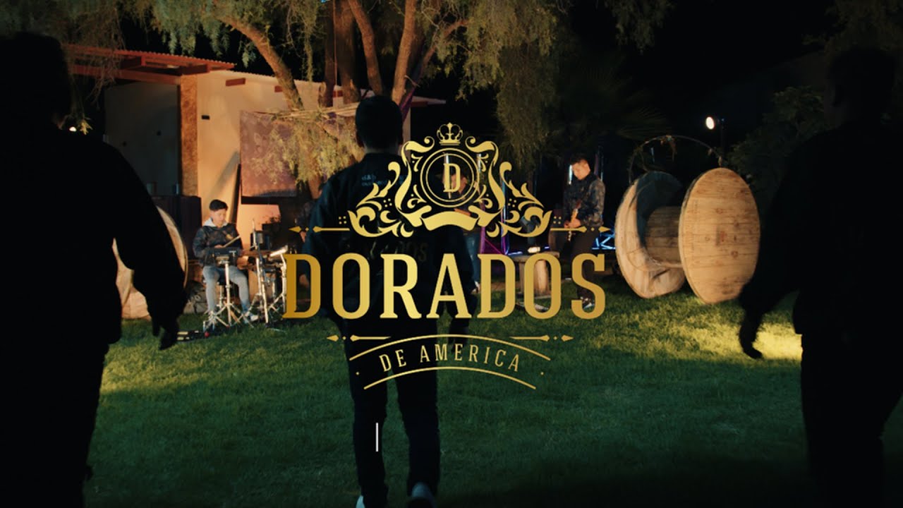 DORADOS DE AMÉRICA   -   Live Session   "HAY NIVELES"  VIDEO OFICIAL 2025