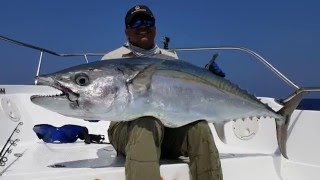 Jigging For Monster Dogtooth Tuna