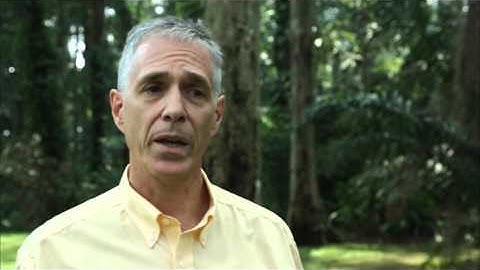 COP21: What it could mean for REDD+ (and climate change)