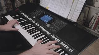 Paul Mauriat  The Piano On The Wave On Keyboard