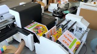 Robtjet roll to roll digital printer