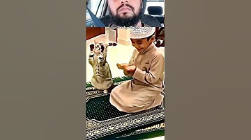 #القرآن_الكريم #qurankareem #إسلام_صبحي  #سورة_الرحمن #اللهم_صل_وسلم_وبارك_على_نبينا_محمد