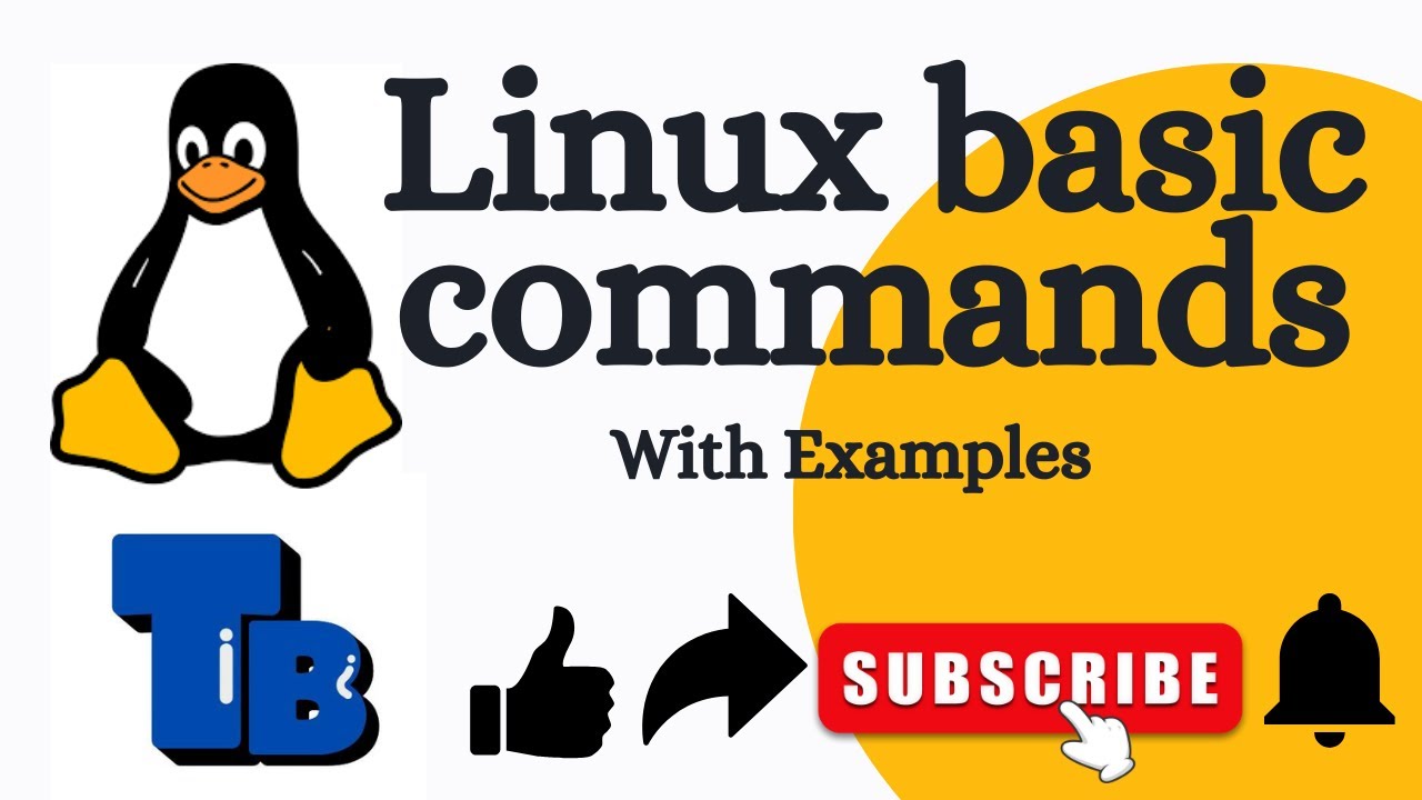 Linux basic commands - part 01 - YouTube