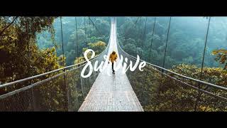 Thimlife - Survive ft.Brenton Mattheus (Sub Espanol - Lyrics)