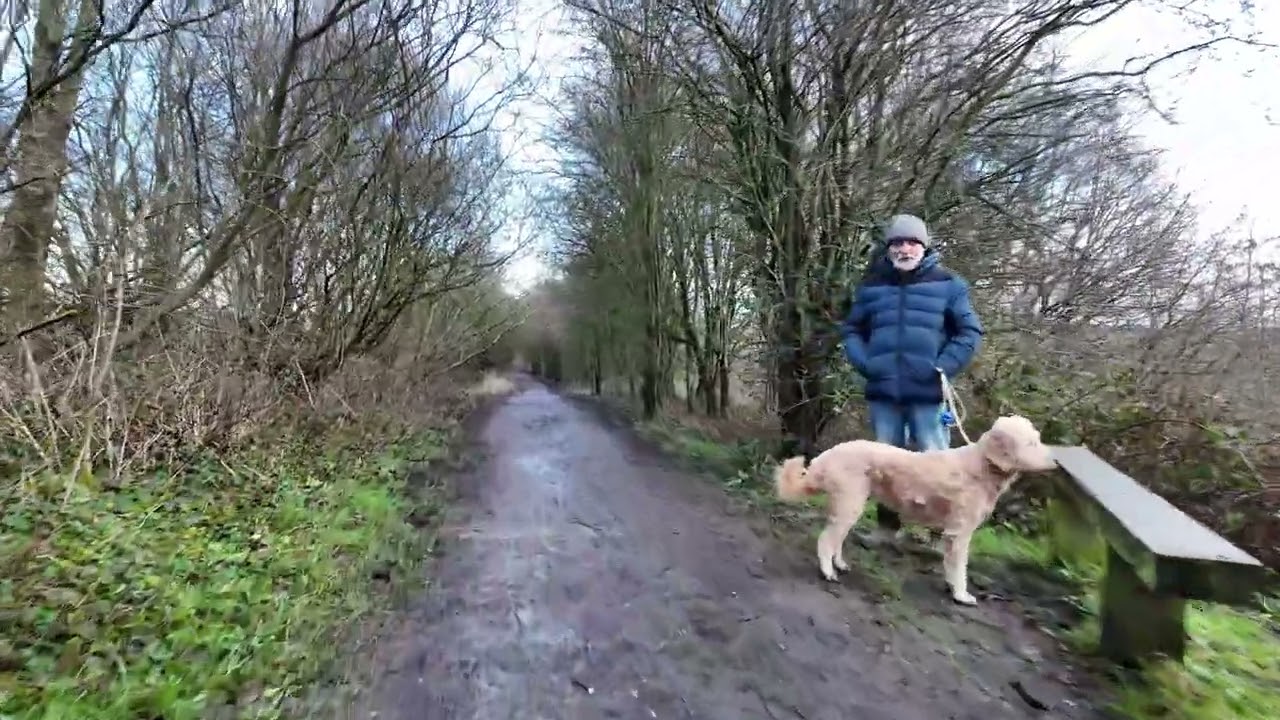 Gt Harwood Easy Walking Trail