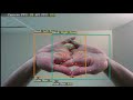 Instantaneous Overlapped Hands Tracking