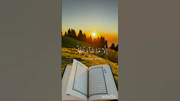 ماتيسر من سورة الأعلى بصوت ماهر المعيقلي 