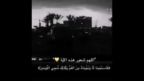 القران الكريم 576